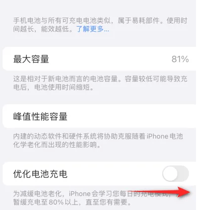 肥东苹果15维修分享iPhone15充电到80%就充不进电了怎么办 