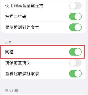 肥东苹果手机维修网点分享iPhone如何开启九宫格构图功能 