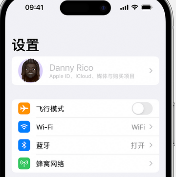 肥东appleID维修服务iPhone设置中Apple ID显示为灰色无法使用 