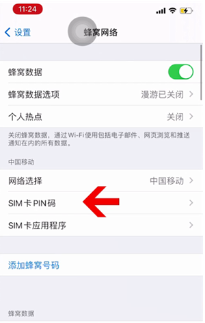 肥东苹果14维修网分享如何给iPhone14的SIM卡设置密码 