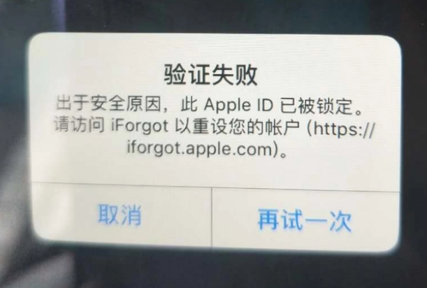 肥东iPhone维修分享iPhone上正常登录或使用AppleID怎么办 