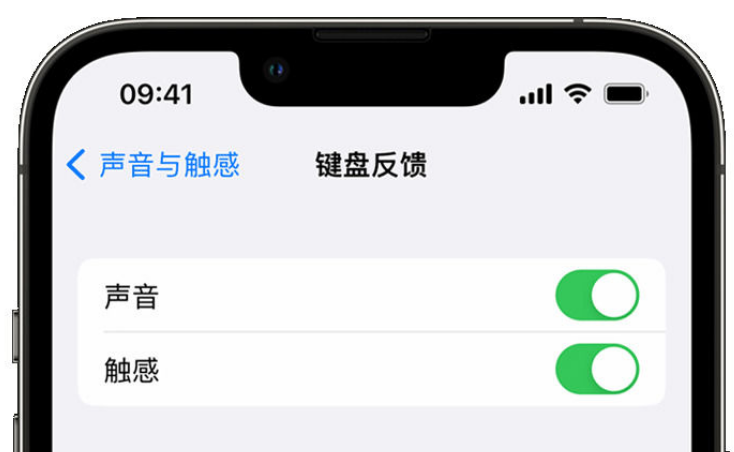 肥东苹果手机维修分享iPhone 14触感键盘使用方法 