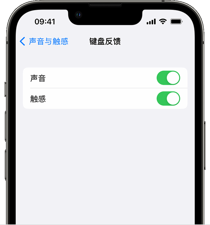 肥东苹果14维修店分享如何在 iPhone 14 机型中使用触感键盘 