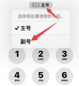 肥东苹果14维修店分享iPhone 14 Pro Max使用副卡打电话的方法 