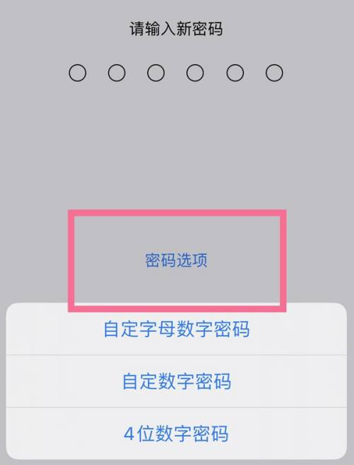 肥东苹果14维修分享iPhone 14plus设置密码的方法 