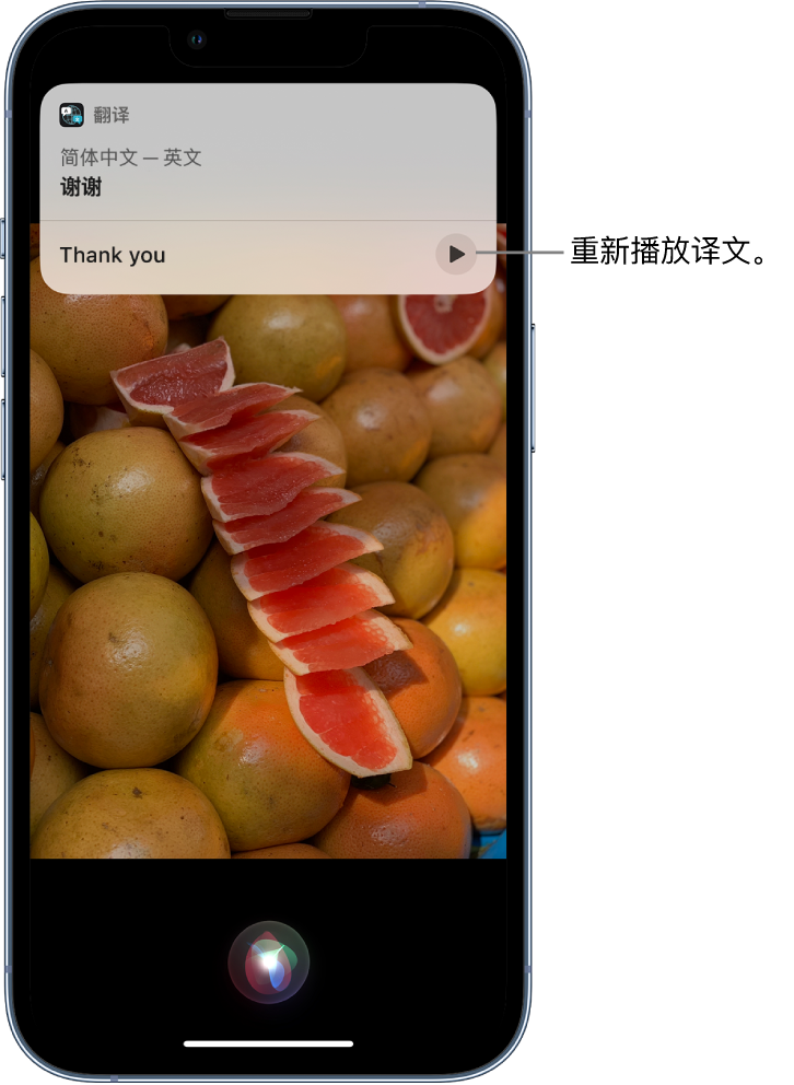 肥东苹果14维修分享 iPhone 14 机型中使用 Siri：了解 Siri 能帮你做什么 