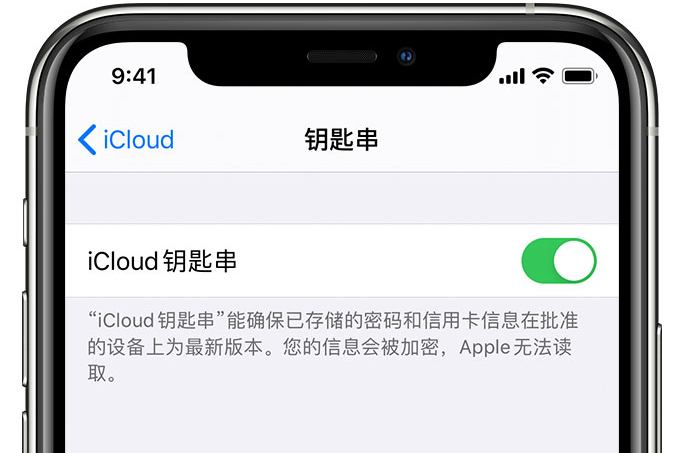 肥东苹果手机维修分享在 iPhone 上开启 iCloud 钥匙串之后会储存哪些信息 