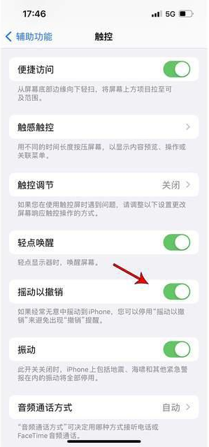 肥东苹果手机维修分享iPhone手机如何设置摇一摇删除文字 